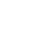 Veto logo